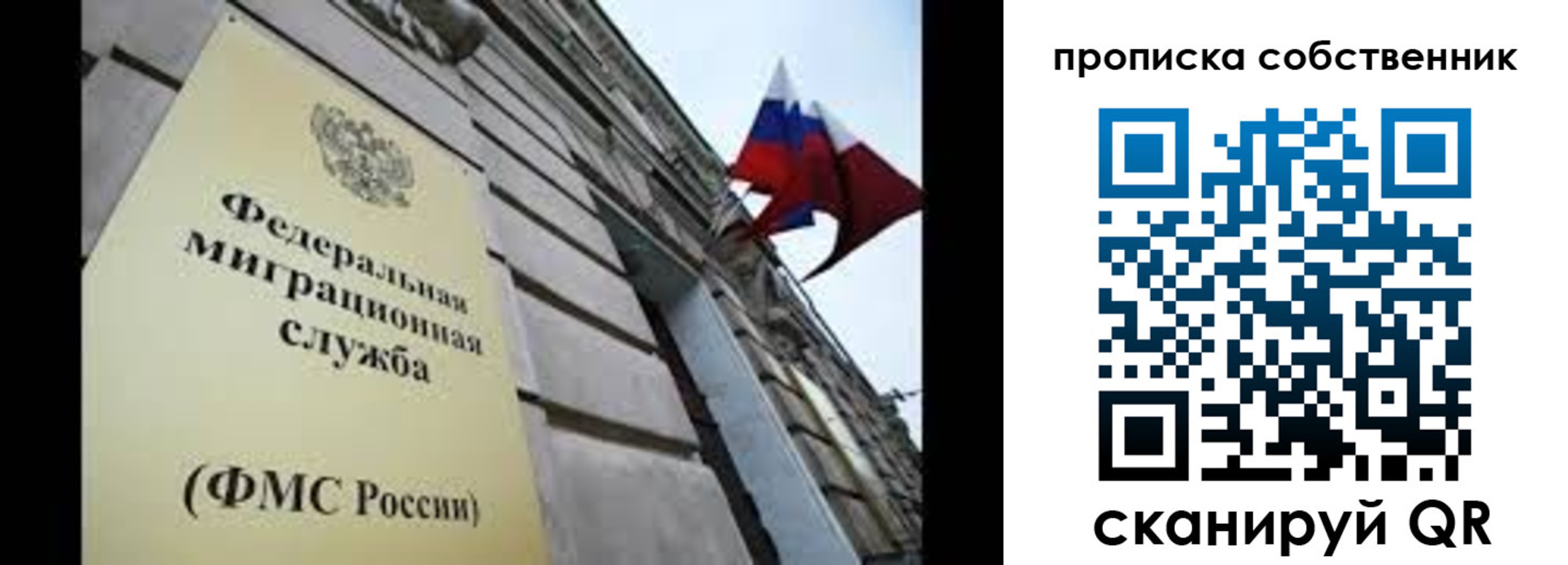 прописка гарантия в Жукове